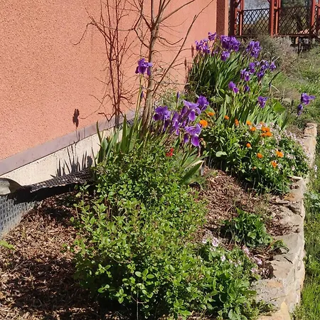 Villa In With Pool Homps (Aude)
